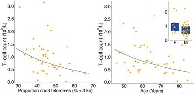 T-cell count and T-cell telomere length in patients with severe COVID-19